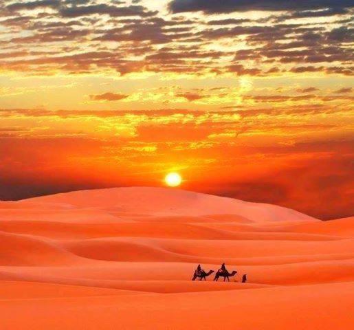 Maison Adrar مرزوكة المظهر الخارجي الصورة